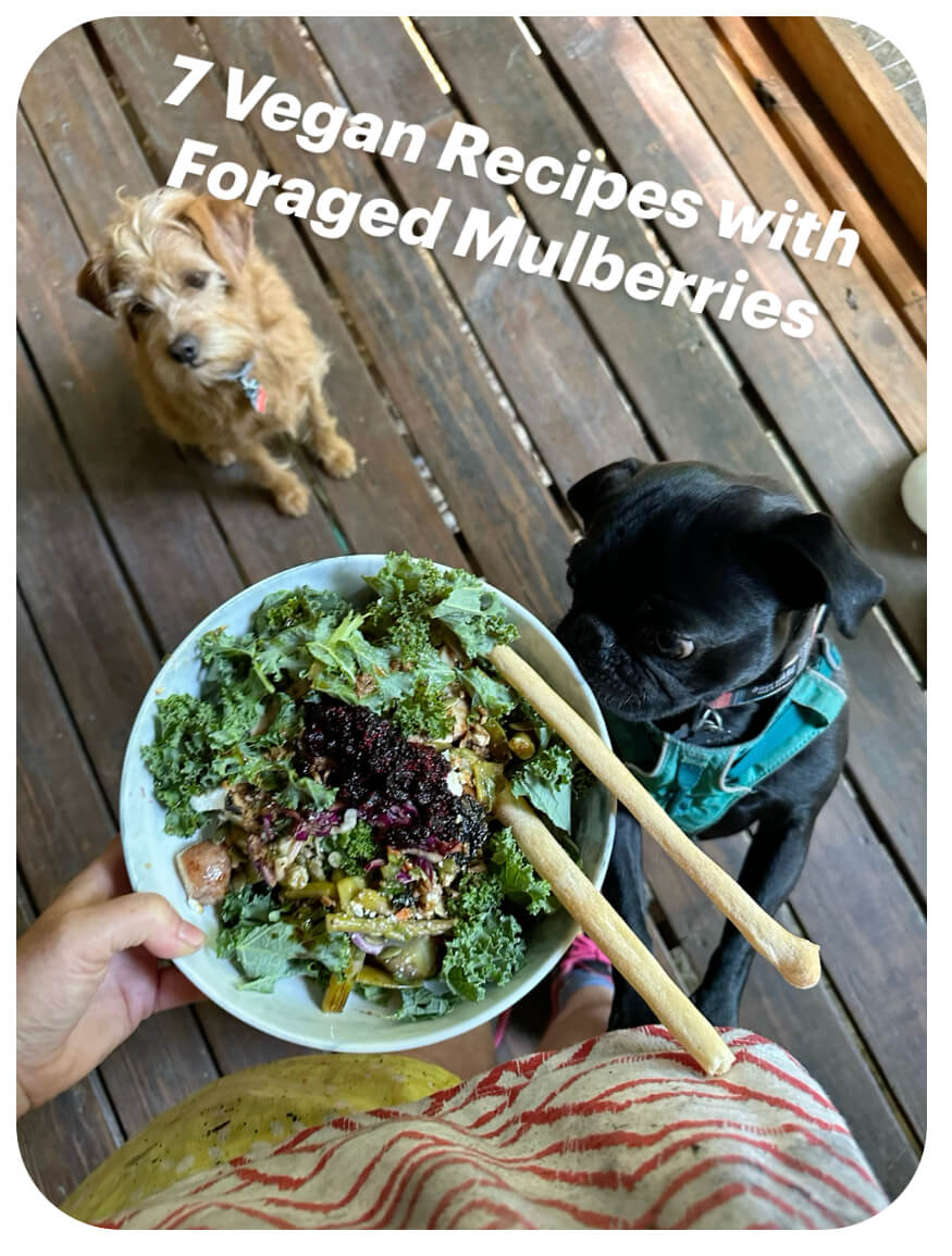 vegan kale salad with foraged mulberries